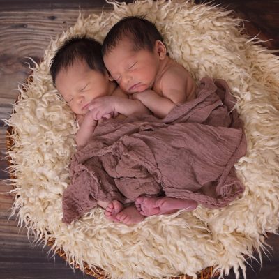 3194556-twins-1628843_1920
